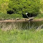 Waldbaden Διαμέρισμα Furthen