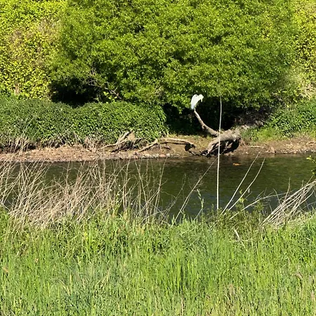 Waldbaden 公寓 Furthen