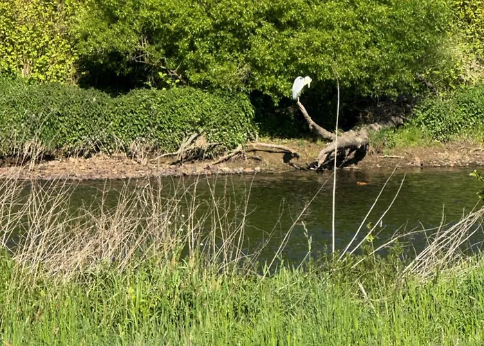 Waldbaden דירה Furthen